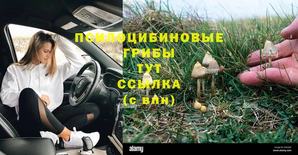 наркотики Инсар